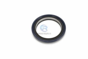 VH982801228A Rear Oil Seal