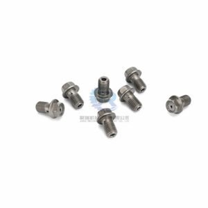 VH156051250A Oil CHECK valve sub assy